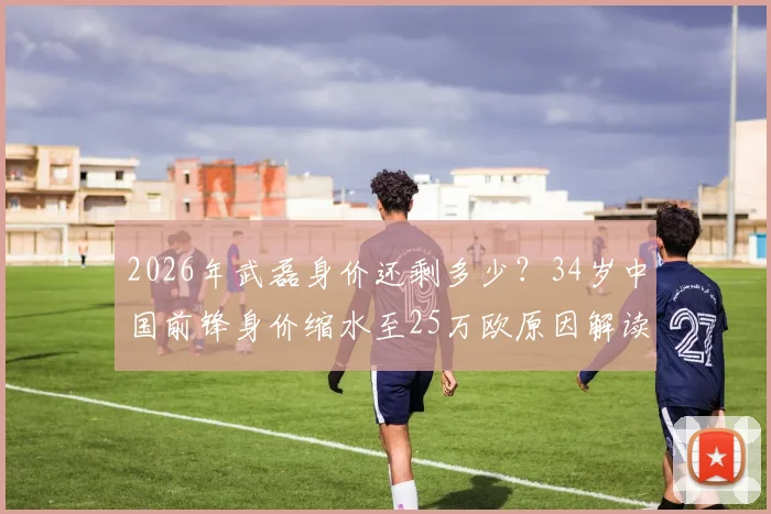 2026年武磊身价还剩多少？34岁中国前锋身价缩水至25万欧原因解读