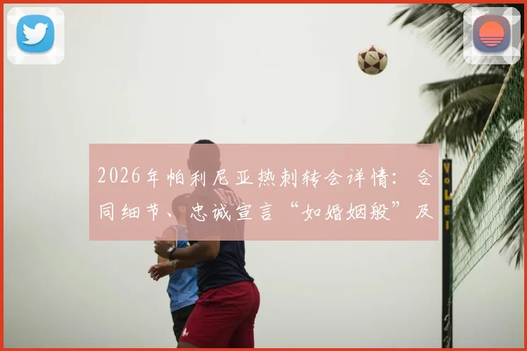 2026年帕利尼亚热刺转会详情：合同细节、忠诚宣言“如婚姻般”及未来展望分析