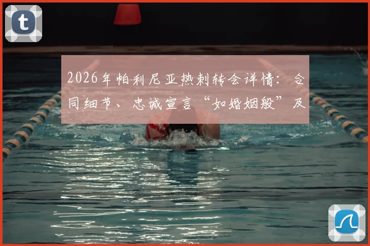 2026年帕利尼亚热刺转会详情：合同细节、忠诚宣言“如婚姻般”及未来展望分析